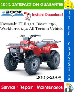 Kawasaki KLF 250, Bayou 250, Workhorse 250 All Terrain Vehicle Service