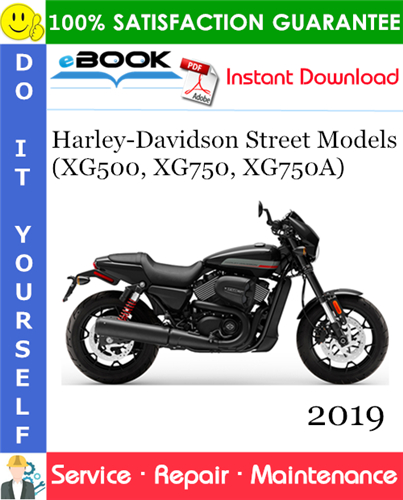 2019 Harley-Davidson Street Models (XG500, XG750, XG750A) Motorcycle ...